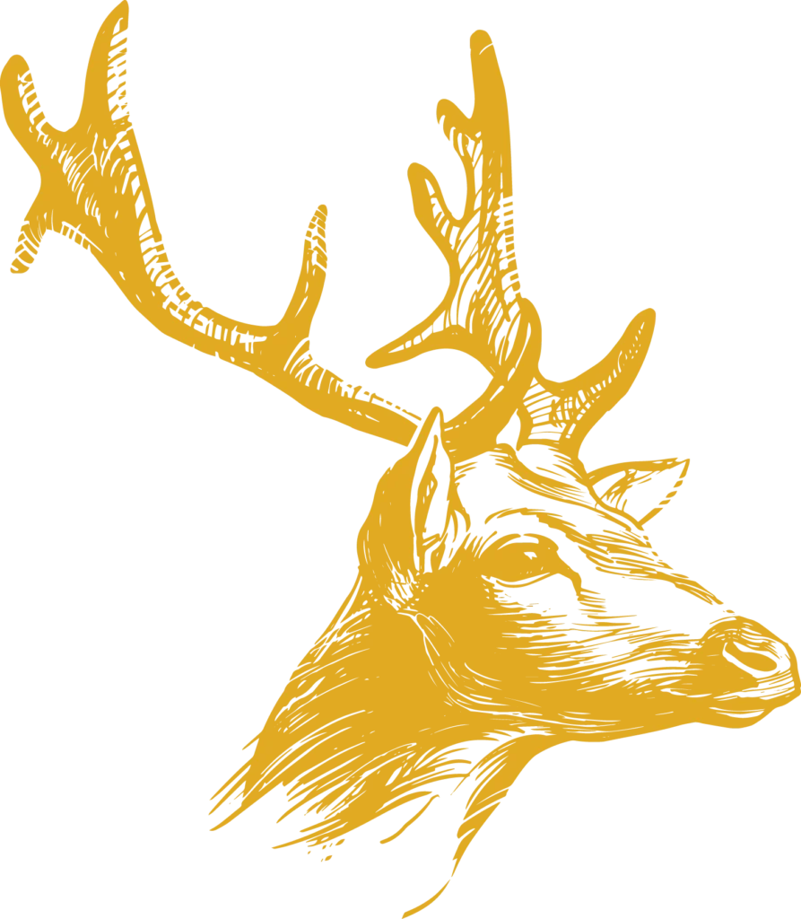 Hirsch Grafik